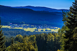 Hotel mit Lamas und anderen Tieren auf dem Kleintierbauernhof